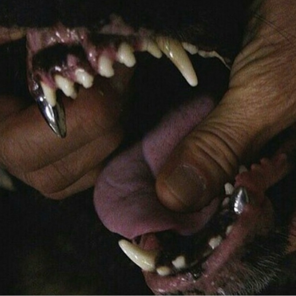 𝔐𝔢𝔢𝔱 𝔶𝔬𝔲𝔯 𝔭𝔬𝔰𝔥𝔢𝔯, 𝔰𝔢𝔠𝔱
